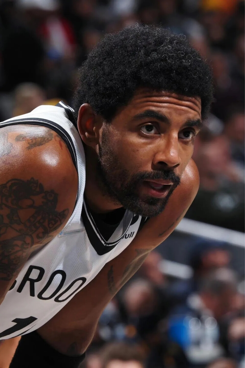 他立足联盟 他立足联盟