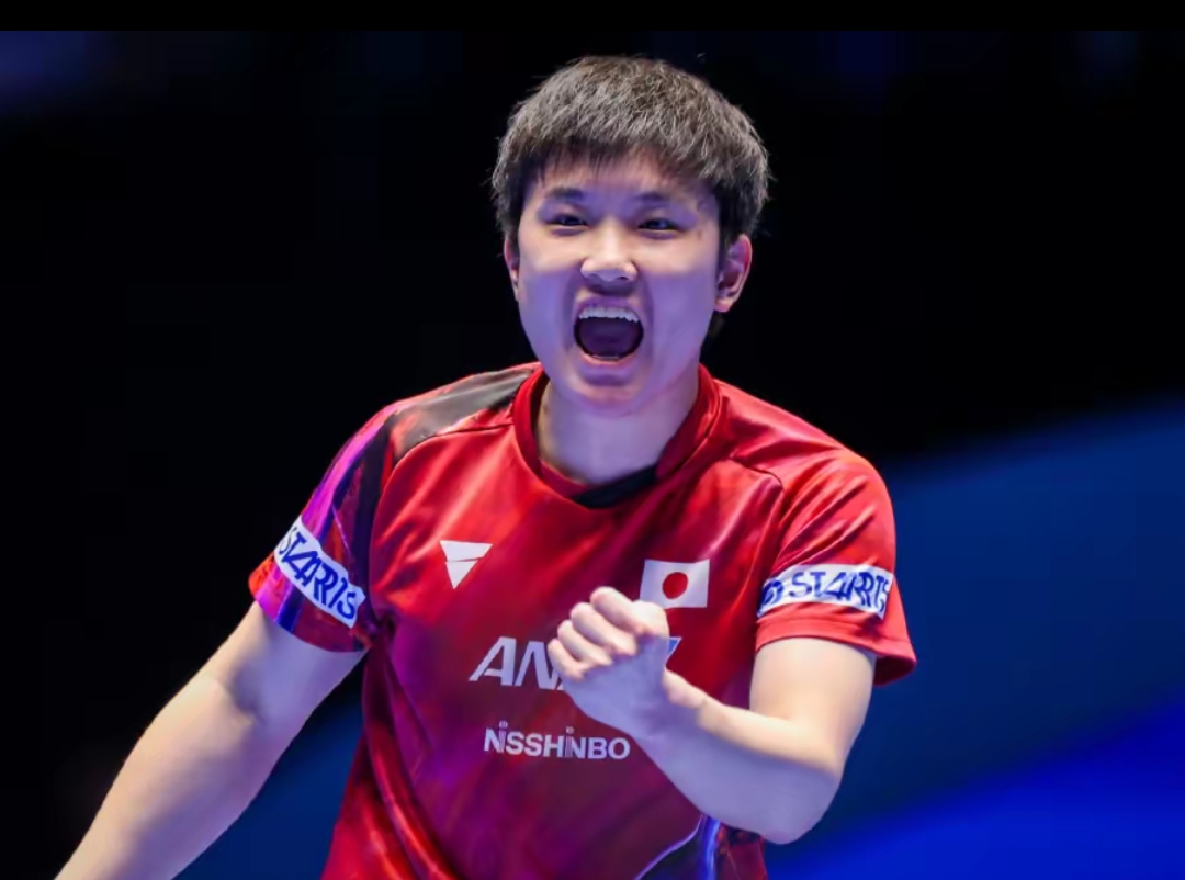 争议则逐步 争议则逐步